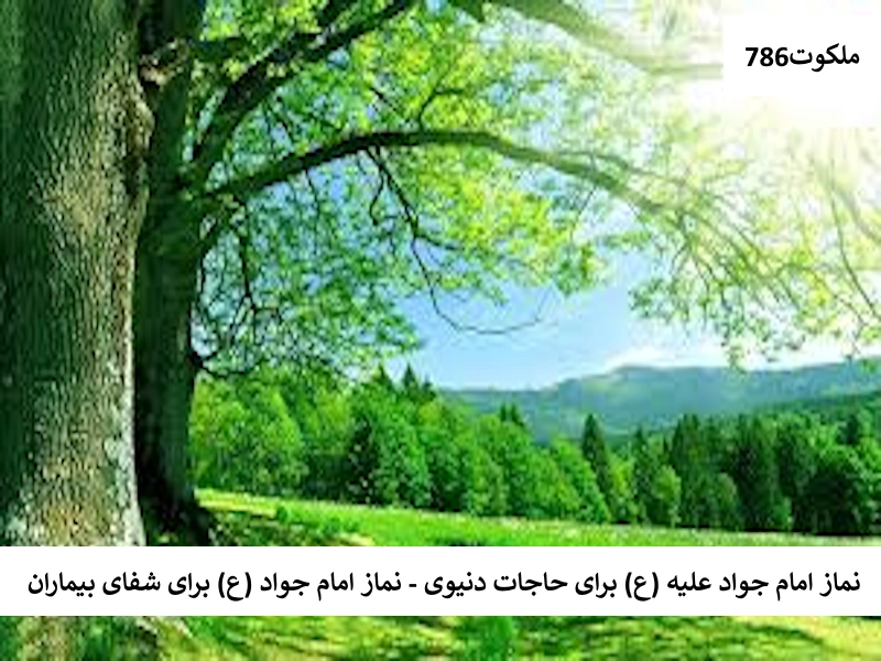 نماز امام جواد(ع) برای حاجات دنیوی - نماز امام جواد(ع) برای شفای بیماران جواد احاديث معصومين عليهم السلام ادعيه و اذكار دستورالعمل و نسخه مجرب دعا دعا و ختم مجرب دعای حاجت روایی دعای شفای بیماری