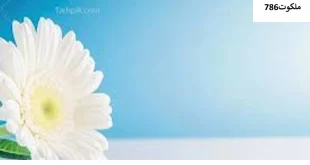 رحمن-310x165 اثار و برکات سوره الرحمن احاديث معصومين عليهم السلام ادعيه و اذكار دستورالعمل و نسخه مجرب دعا دعا و ختم مجرب دعای حاجت روایی دعای شفای بیماری 