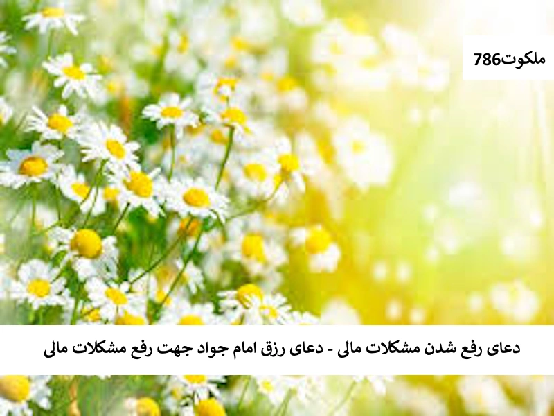 دعای رفع شدن مشکلات مالی - دعای رزق امام جواد جهت رفع مشکلات مالی مالی-1 احاديث معصومين عليهم السلام ادعيه و اذكار دستورالعمل و نسخه مجرب دعا دعا و ختم مجرب دعای حاجت روایی دعای رفع مشکلات و گرفتاری