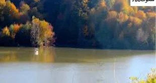 کار3-310x165 احاديث معصومين عليهم السلام ادعيه و اذكار دستورالعمل و نسخه مجرب دعا دعا و ختم مجرب دعای حاجت روایی دعای گشایش کار رزق و روزی کسب و کار 