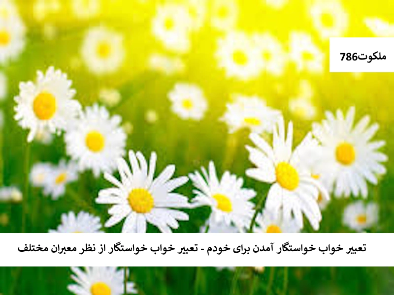 تعبیر خواب خواستگار آمدن برای خودم - تعبیر خواب خواستگار از نظر معبران مختلف خواستگار1 تعبیر خواب