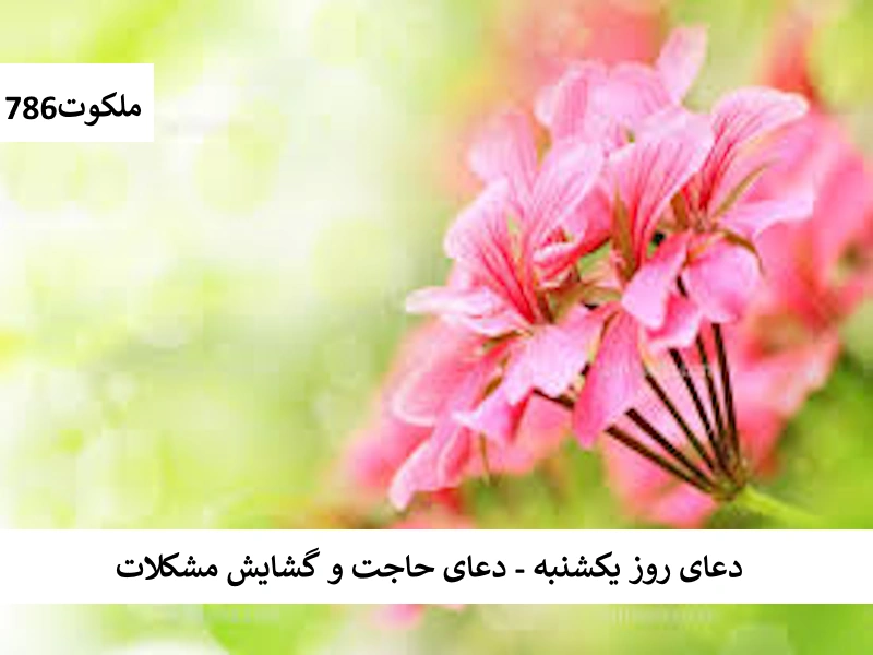 دعا روز یکشنبه - دعای حاجت و گشایش مشکلات یکشنبه احاديث معصومين عليهم السلام ادعيه و اذكار حرز مجرب دستورالعمل و نسخه مجرب دعا دعا و ختم مجرب دعای حاجت روایی