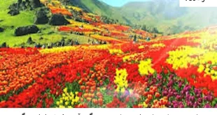 امن1-310x165 احاديث معصومين عليهم السلام ادعيه و اذكار پنج آیه معجزه گر قران خواص آیه امن یجیب دعا و ختم مجرب دعای حاجت روایی 