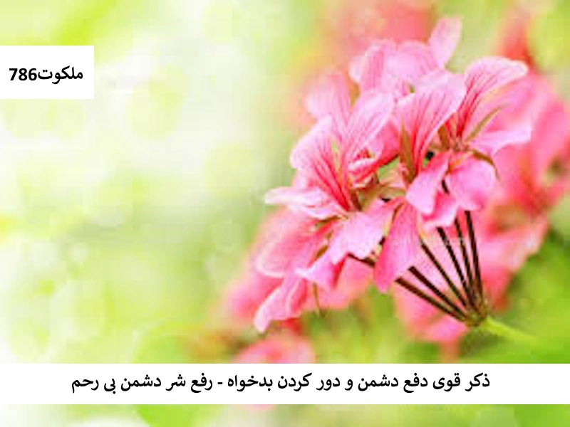 ذکر قوی دفع دشمن و دور کردن بدخواه - رفع شر دشمن بی رحم دشمن1 احاديث معصومين عليهم السلام ادعيه و اذكار دعا و ختم مجرب دعای حاجت روایی دعای رفع مشکلات و گرفتاری