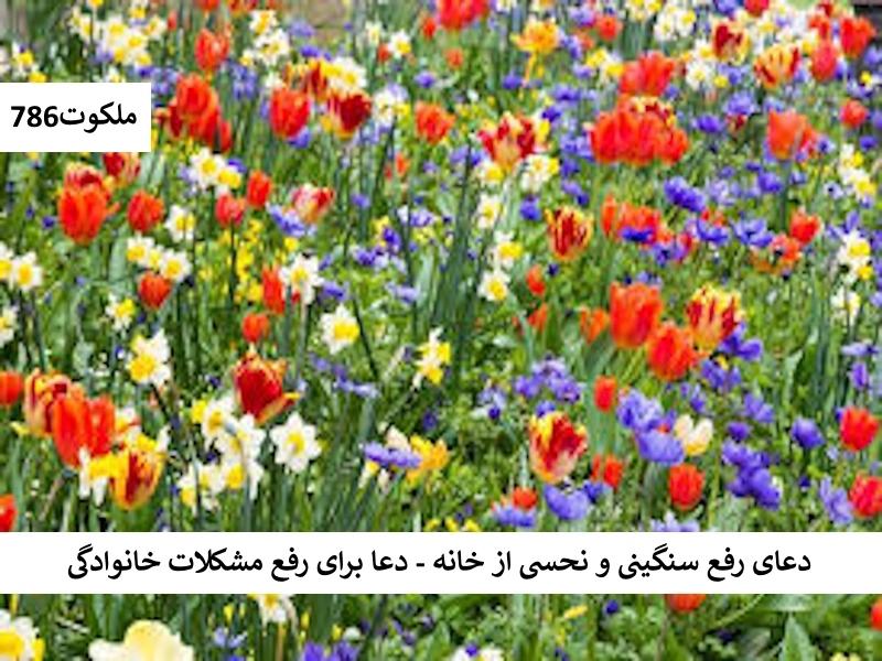 دعای رفع سنگینی و نحسی از خانه - دعا برای رفع مشکلات خانوادگی نحس احاديث معصومين عليهم السلام ادعيه و اذكار دستورالعمل و نسخه مجرب دعا دعای حاجت روایی
