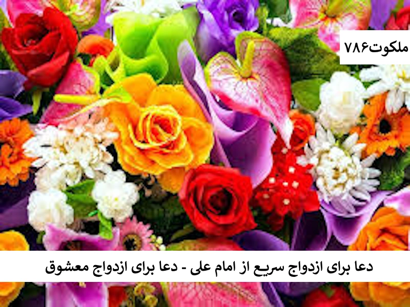 دعا برای ازدواج سریع از امام علی - دعا برای ازدواج با معشوق ازدواج1 احاديث معصومين عليهم السلام ادعيه و اذكار بخت گشایی و ازدواج بخت گشایی و ازدواج دستورالعمل و نسخه مجرب دعا دعا و ختم مجرب دعای حاجت روایی