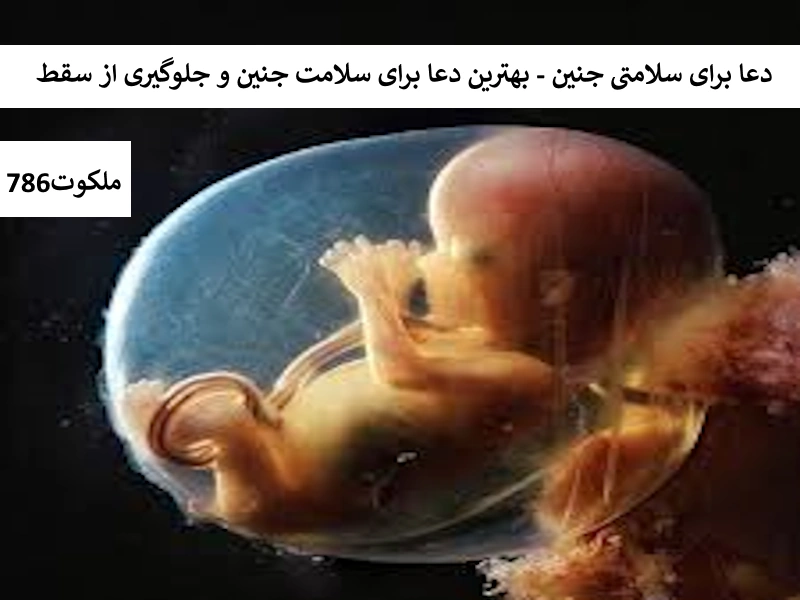 دعا برای سلامتی جنین - بهترین دعا برای سلامت جنین و جلوگیری از سقط جنین احاديث معصومين عليهم السلام ادعيه و اذكار خواص سوره های قرآنی دستورالعمل و نسخه مجرب دعا دعا و ختم مجرب دعای بچه دار شدن دعای حاجت روایی