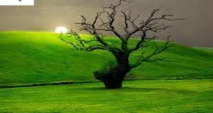 بلا-310x165 احاديث معصومين عليهم السلام ادعيه و اذكار حرز پیامبر اکرم (ص) برای دفع جمیع بلا دستورالعمل و نسخه مجرب دعا دعا و ختم مجرب دعای حاجت روایی 