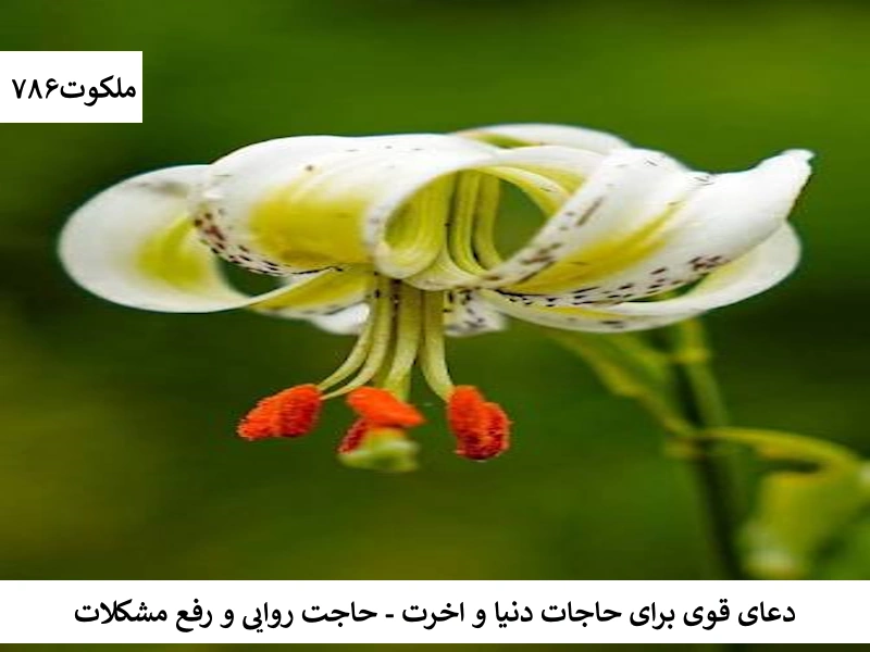 دعای قوی برای حاجات دنیا و آخرت - حاجت روایی و رفع مشکلات دنیا احاديث معصومين عليهم السلام ادعيه و اذكار خواص سوره های قرآنی دستورالعمل و نسخه مجرب دعا دعا و ختم مجرب دعای حاجت روایی دعای رفع مشکلات و گرفتاری دعای گشایش کار