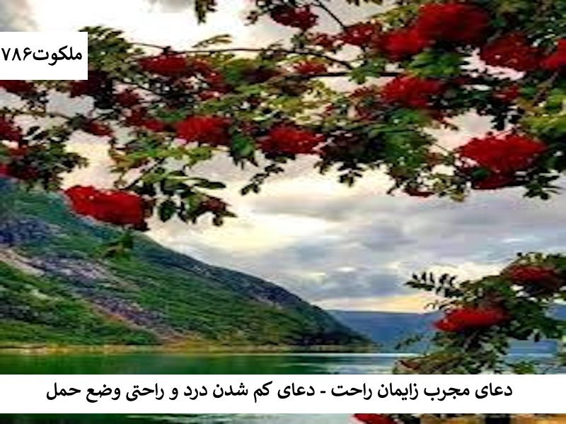 دعای مجرب زایمان راحت - دعای کم شدن درد و راحتی وضع حمل زایمان1 احاديث معصومين عليهم السلام ادعيه و اذكار دستورالعمل و نسخه مجرب دعا دعا و ختم مجرب دعای حاجت روایی