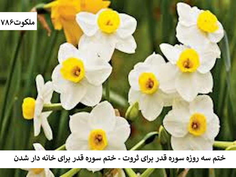 ختم سه روزه سوره قدر برای ثروت - ختم سوره قدر برای خانه دار شدن قدر احاديث معصومين عليهم السلام ادعيه و اذكار خواص سوره های قرآنی خواص و فضیلت سوره قدر دستورالعمل و نسخه مجرب دعا دعا و ختم مجرب دعای حاجت روایی