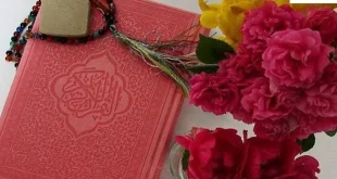 تکاثر1-310x165 احاديث معصومين عليهم السلام ادعيه و اذكار خواص سوره های قرآنی دستورالعمل و نسخه مجرب دعا دعا و ختم مجرب دعای حاجت روایی رزق و روزی 