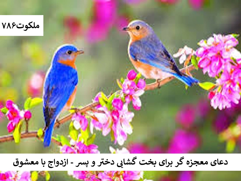 دعای معجزه گربرای بخت گشایی دختر و پسر - ازدواج با معشوق بخت احاديث معصومين عليهم السلام ادعيه و اذكار بخت گشایی و ازدواج دستورالعمل و نسخه مجرب دعا دعا و ختم مجرب دعای حاجت روایی